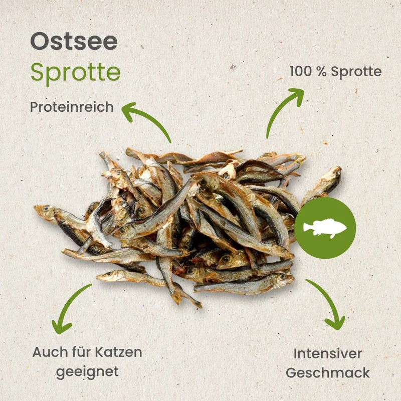 Ostsee-Sprotte