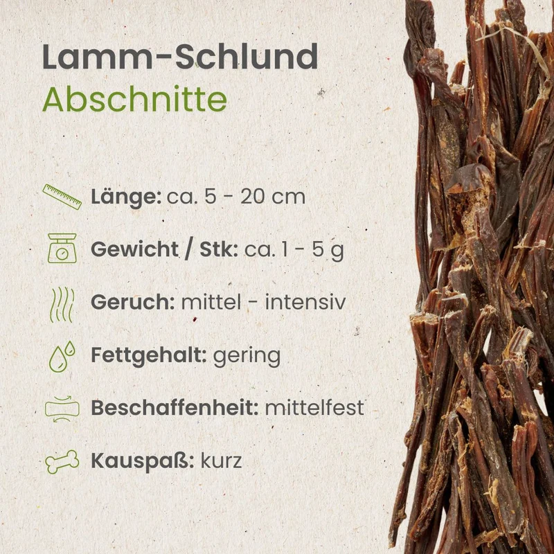 Lamm-Schlund, Abschnitte