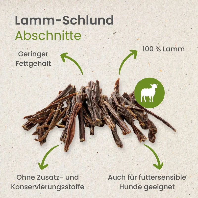 Lamm-Schlund, Abschnitte