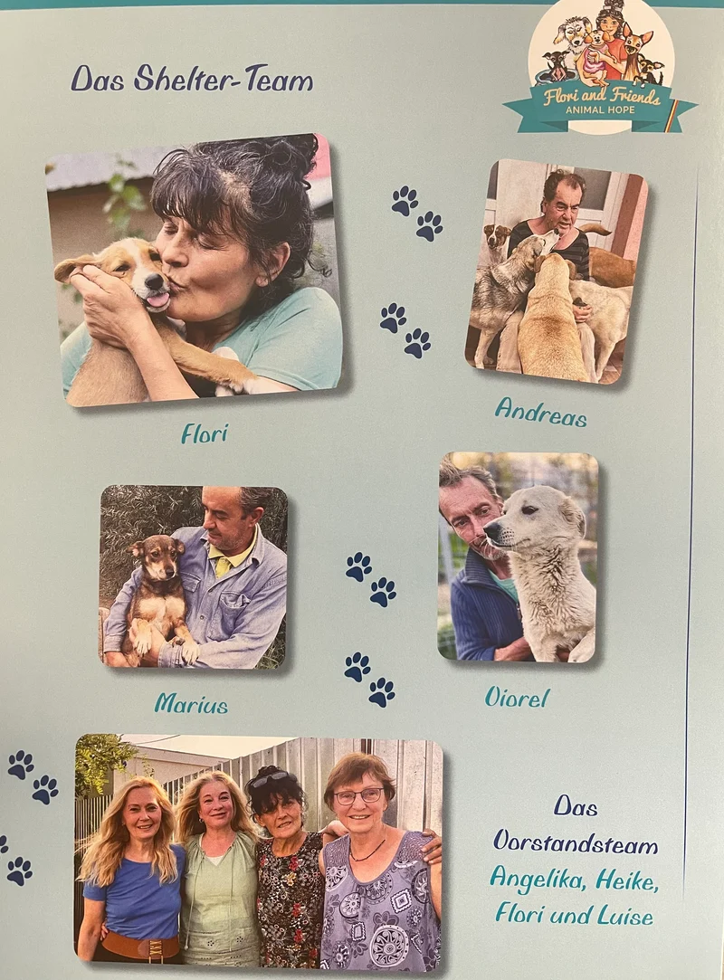Flori and Friends Hunde-Kalender 2025