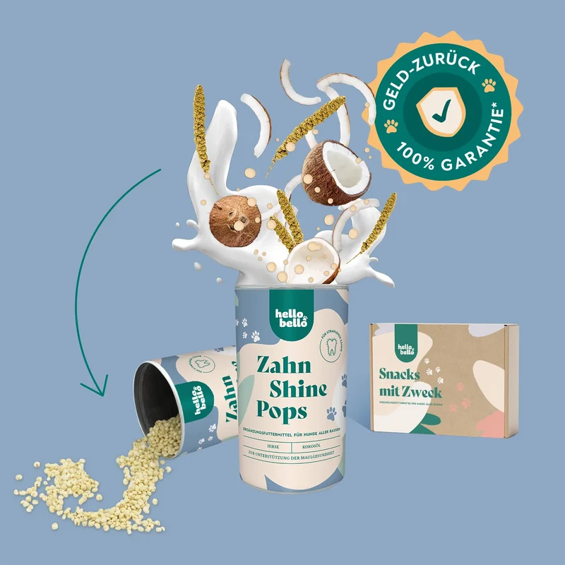 Zahn Shine Pops
