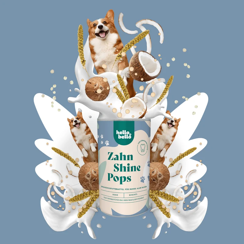 Zahn Shine Pops