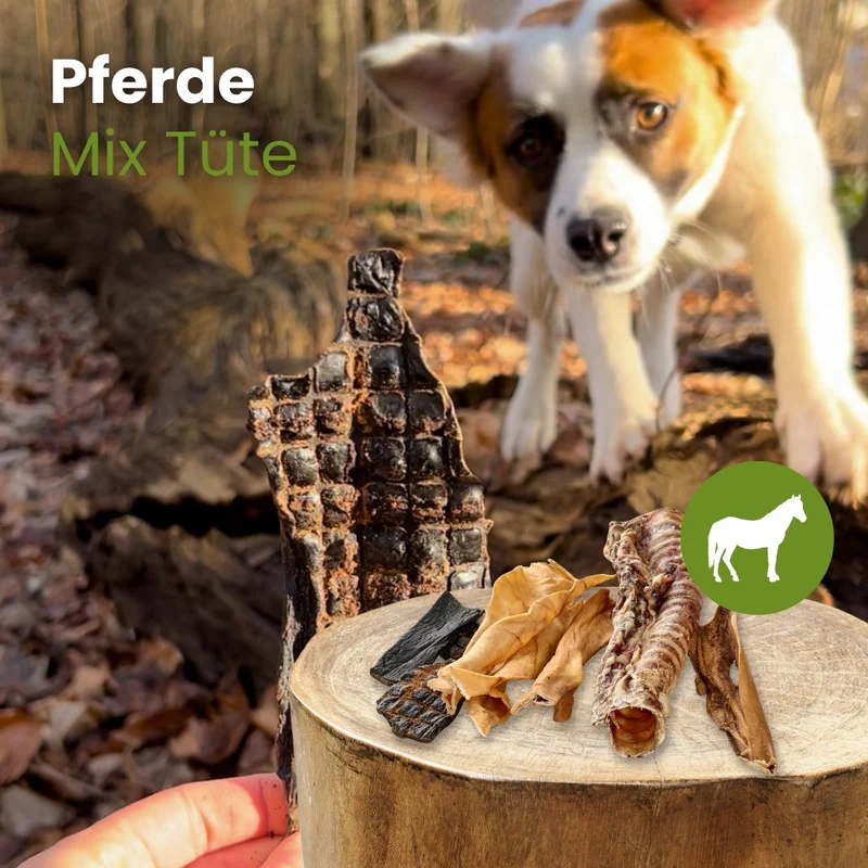 Pferde MIX TÜTE