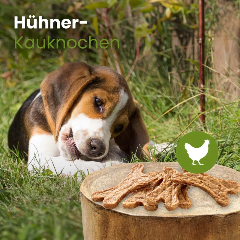 Hühner-Kauknochen