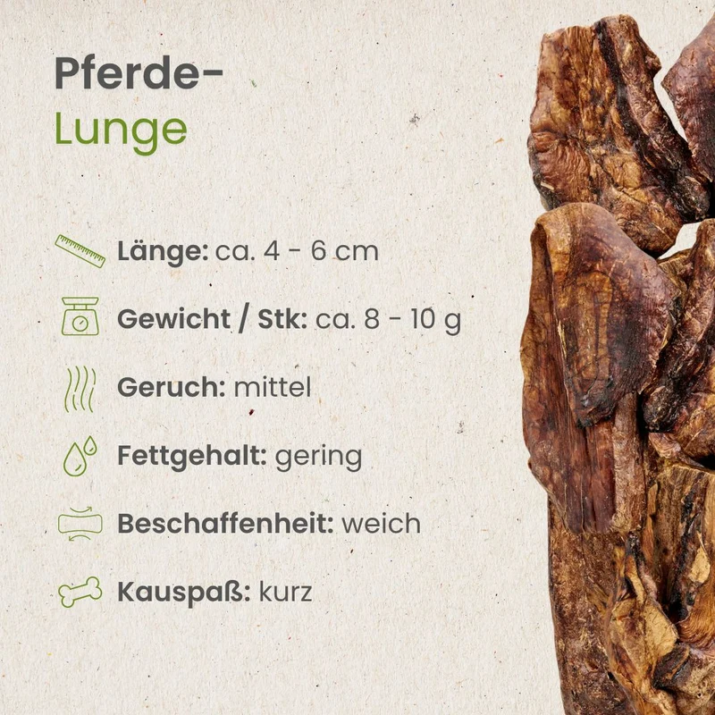 Pferde-Lunge