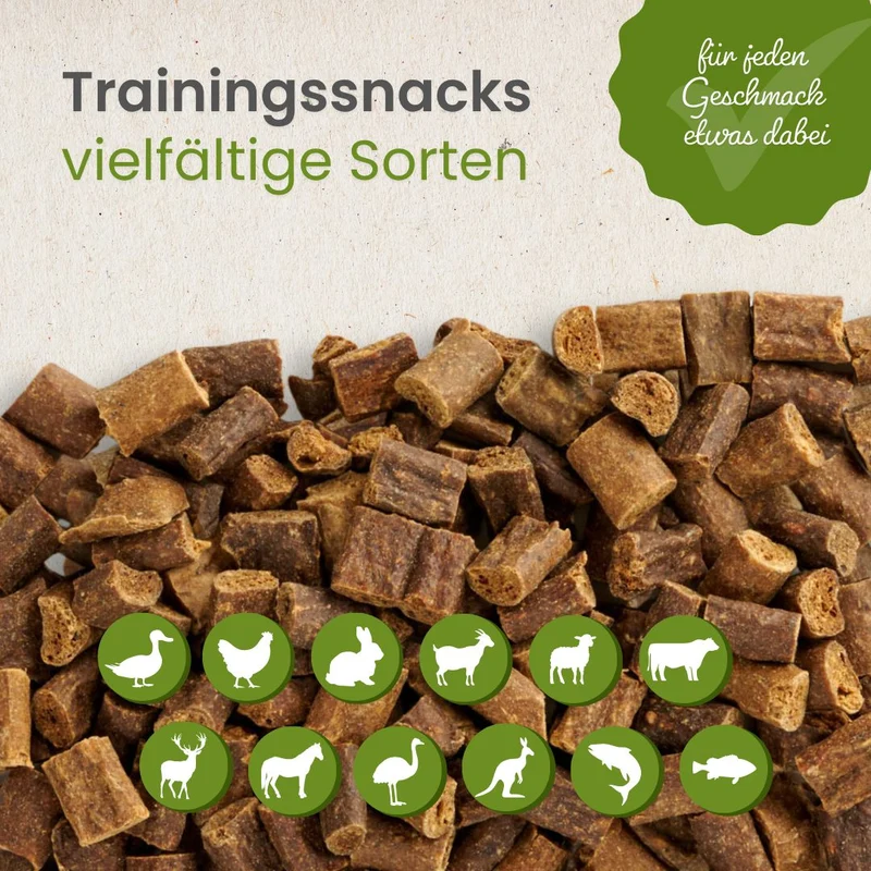 Pferde-Sticks-Trainingssnack
