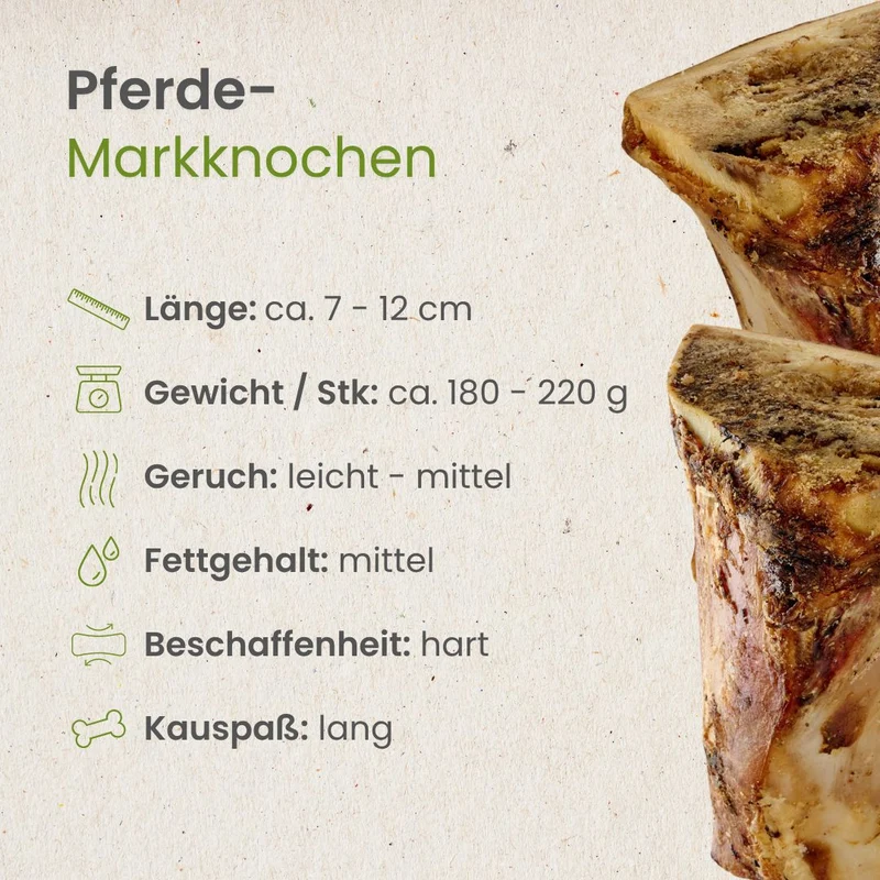 Pferde-Markknochen