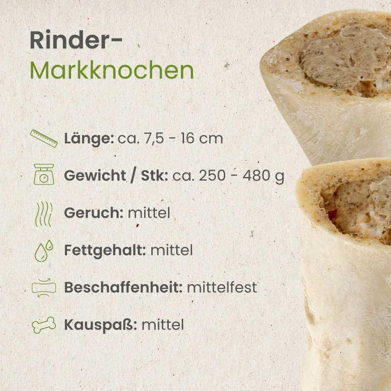 Rinder-Markknochen