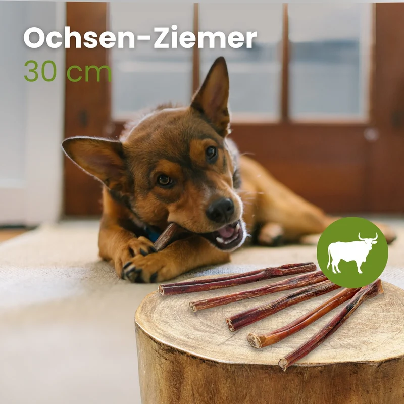Ochsen-Ziemer, 30cm