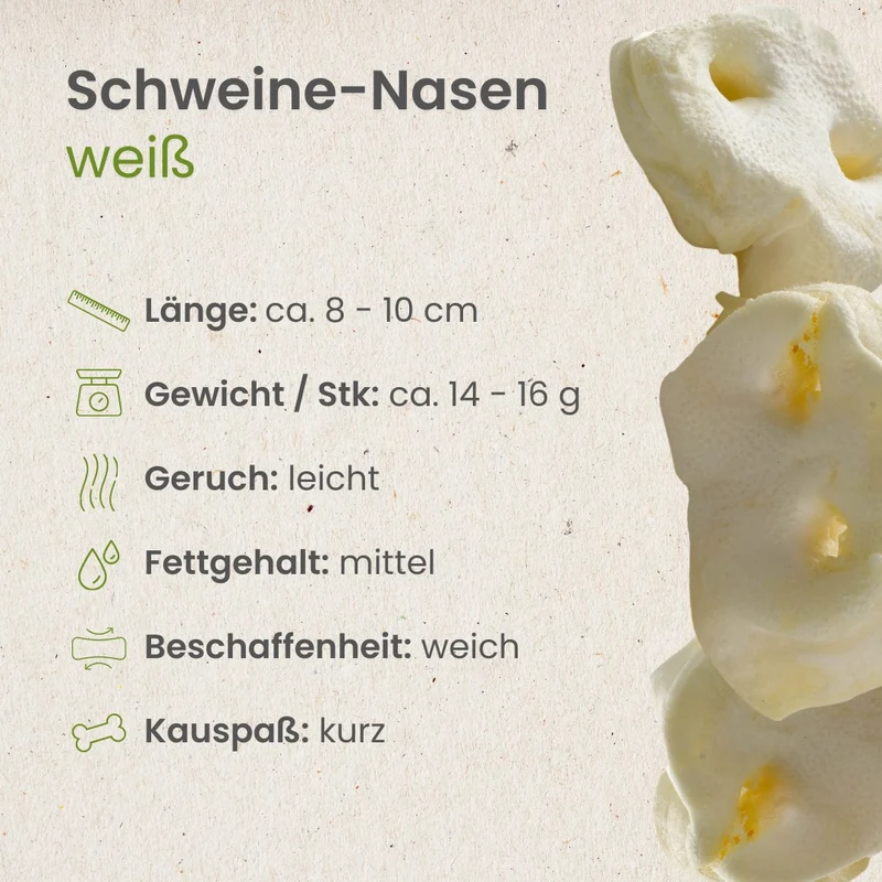 Schweine-Nasen, weiß