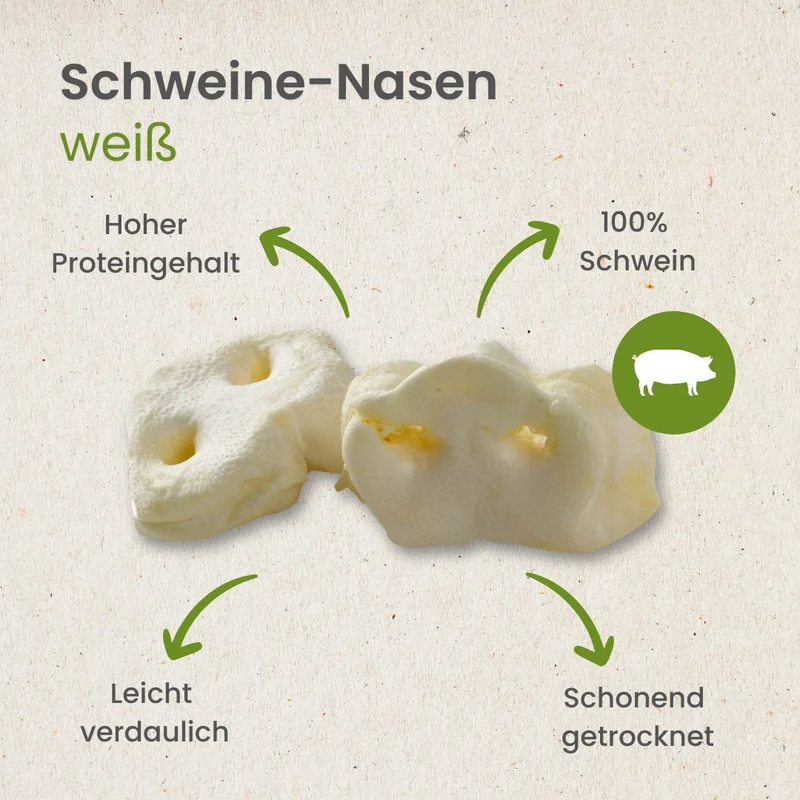 Schweine-Nasen, weiß