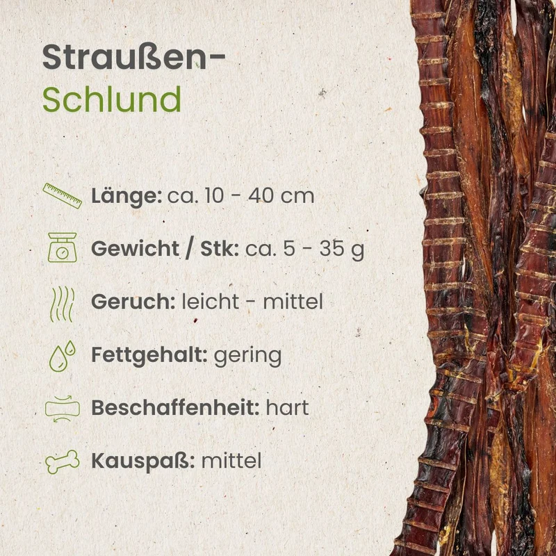 Straußen-Schlund