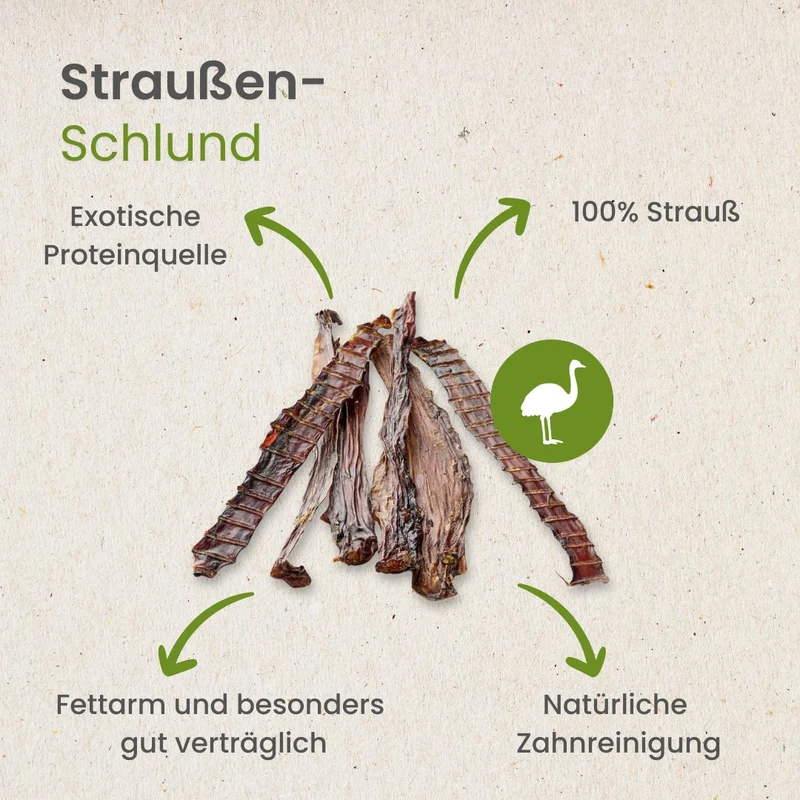 Straußen-Schlund