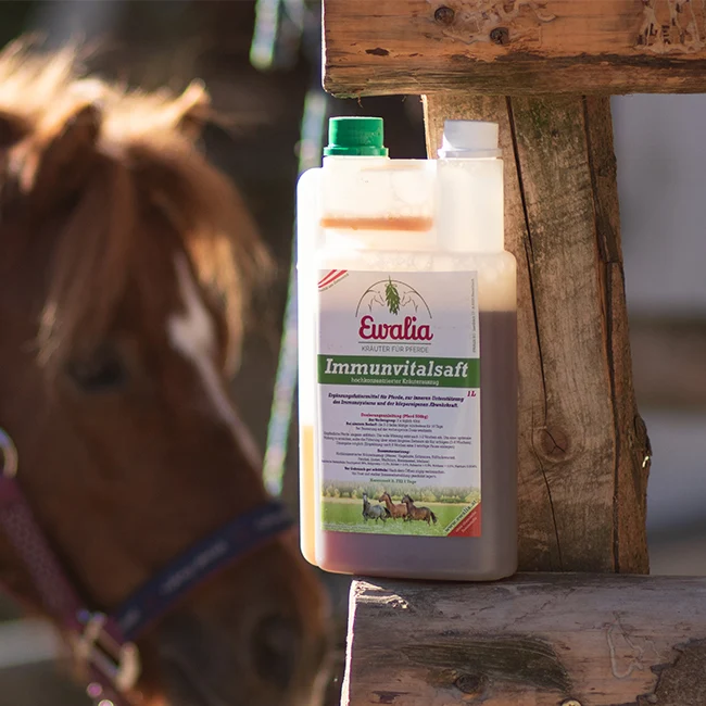 Ewalia Immunvitalsaft für Pferde 1000ml