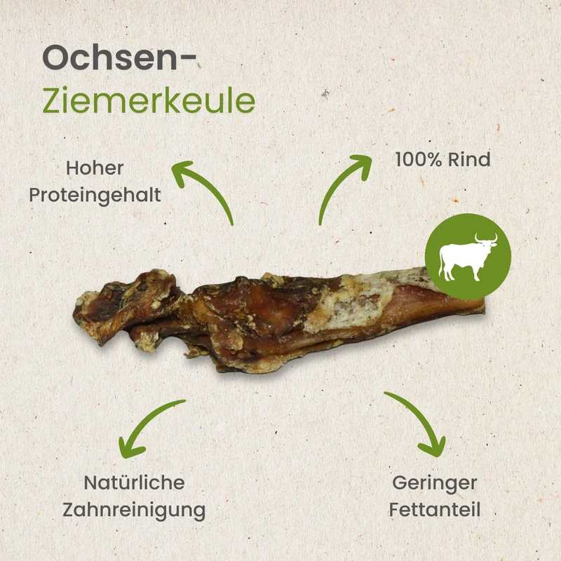 Ochsen-Ziemerkeule