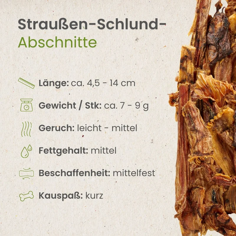 Straußen-Schlund-Abschnitte