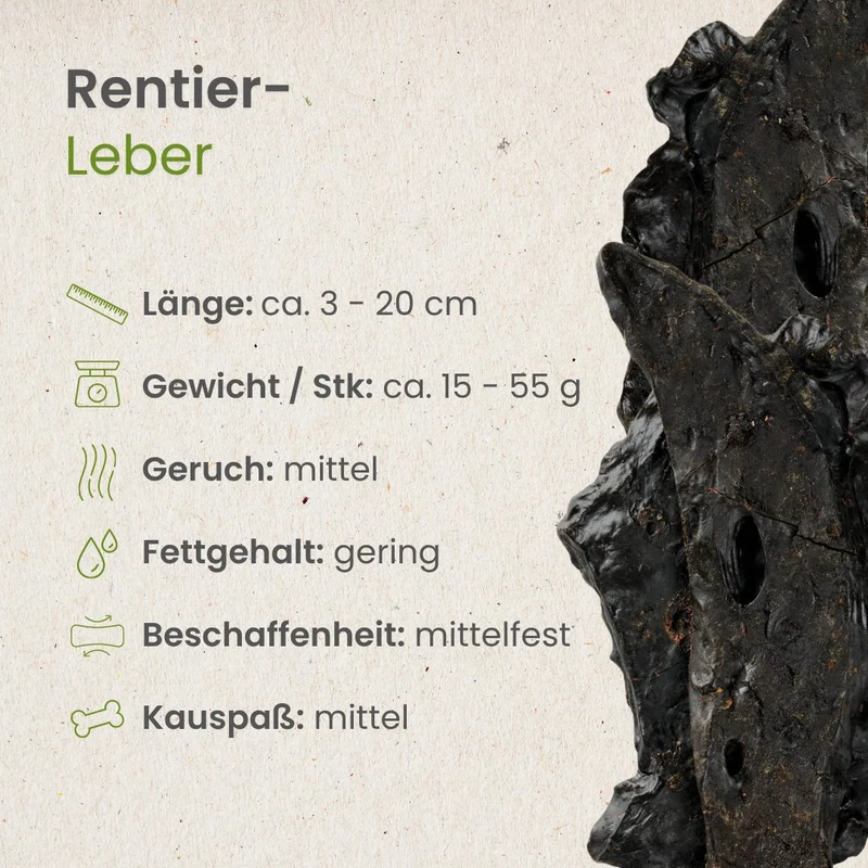 Rentier-Leber