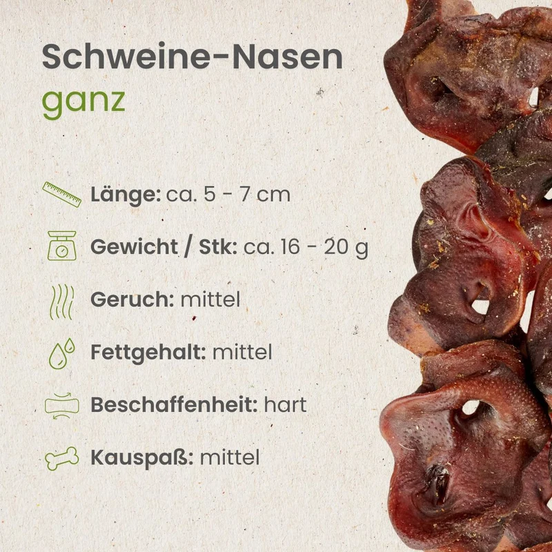 Schweine-Nasen, ganz