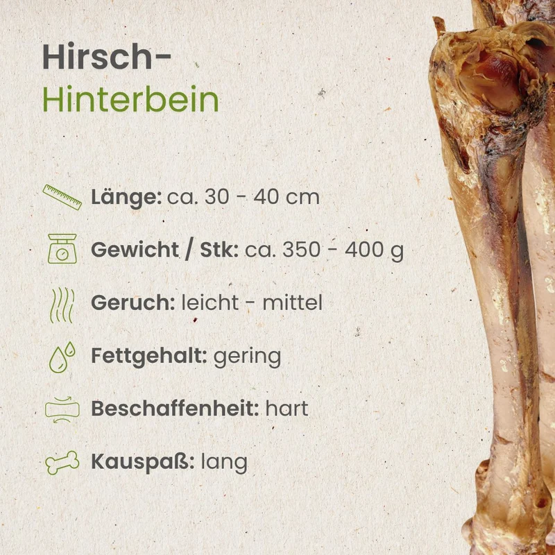 Hirsch-Hinterbein