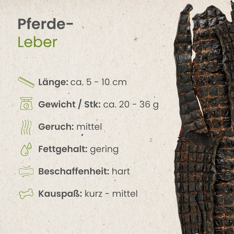 Pferde-Leber