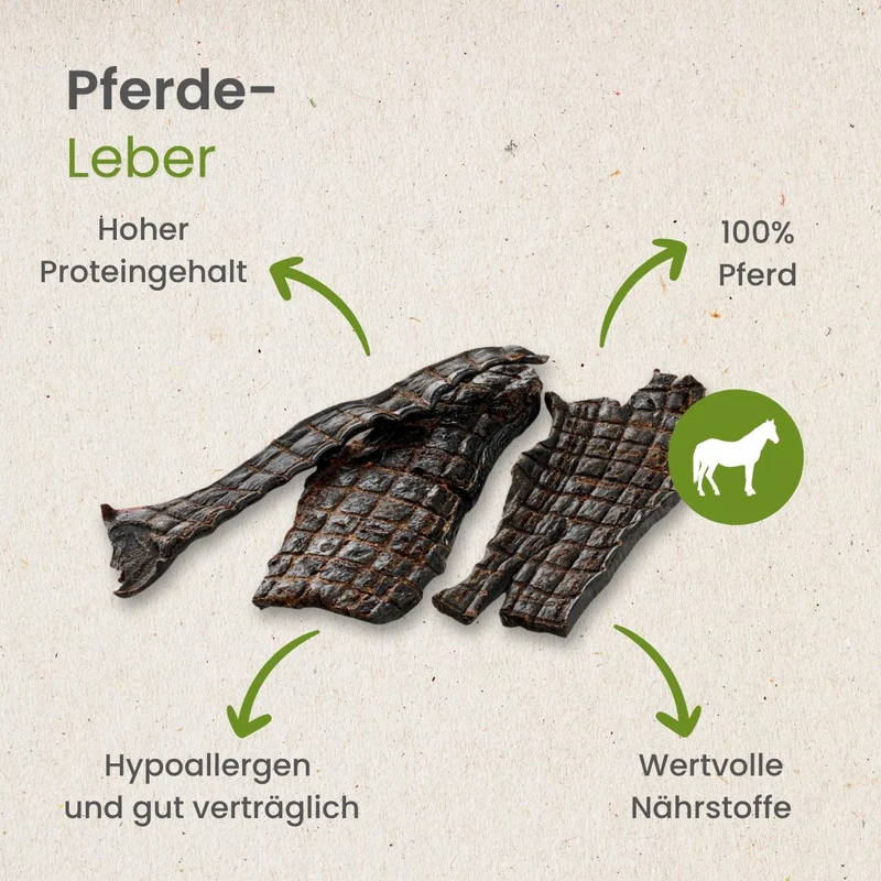 Pferde-Leber