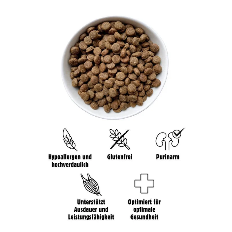Eat Small WALD/Active 2 kg – Proteinreiches Trockenfutter aus Insekten für Hunde