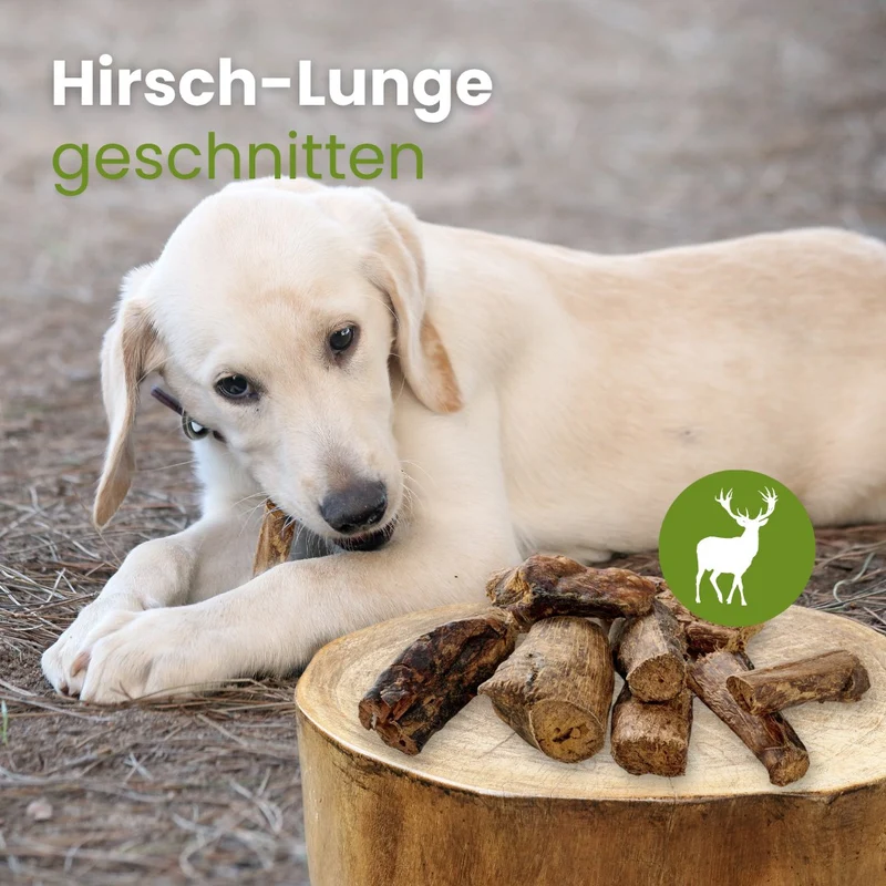 Hirsch-Lunge, geschnitten