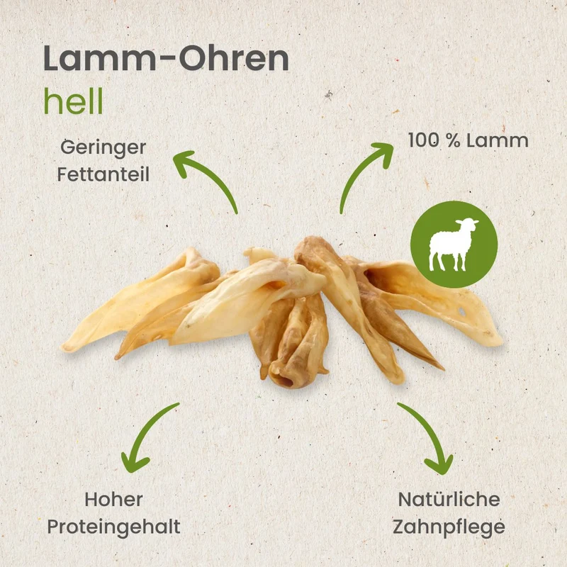 Lamm-Ohren, hell