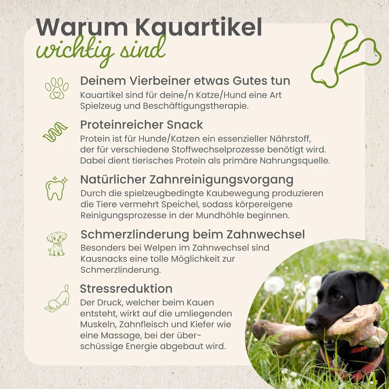 Hühner-Würfel