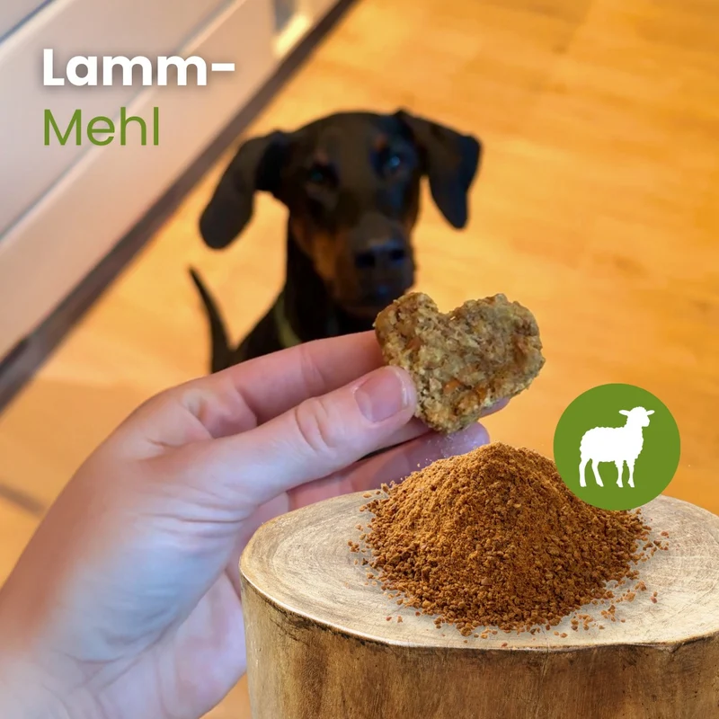Lamm-Mehl