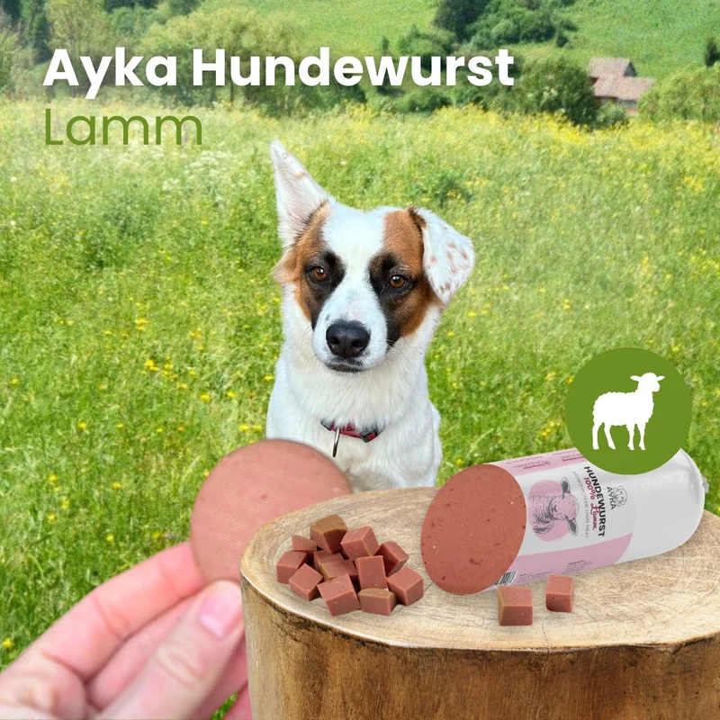 Ayka Hundewurst Lamm
