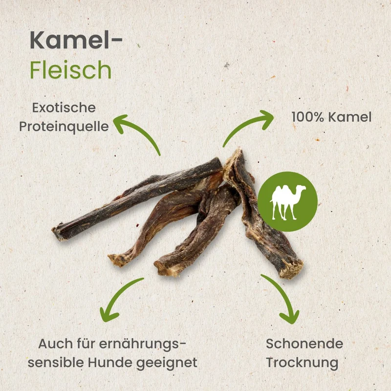 Kamel-Fleisch