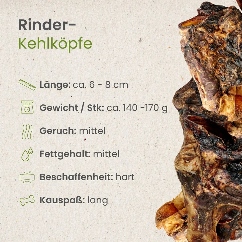 Rinder-Kehlköpfe