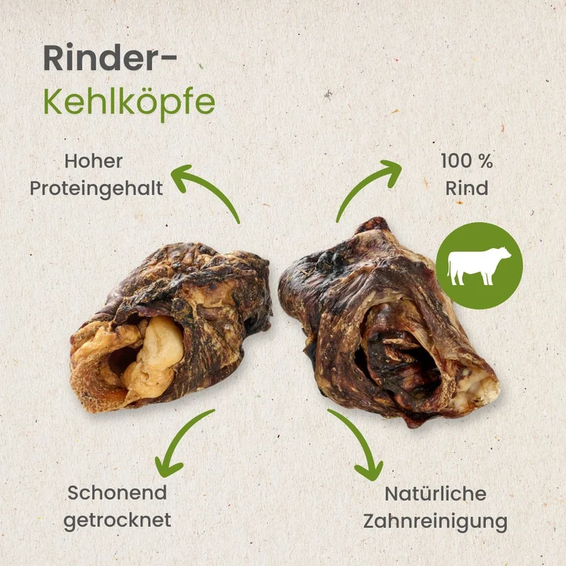 Rinder-Kehlköpfe
