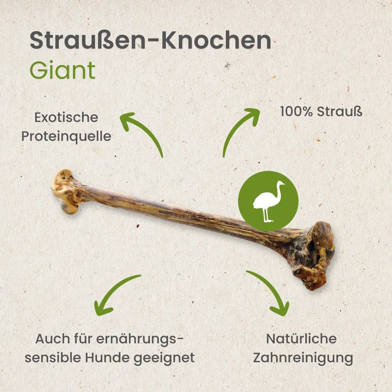 Straußen-Knochen, Giant