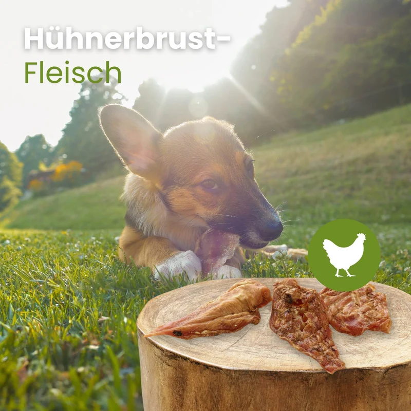 Hühnerbrust-Fleisch