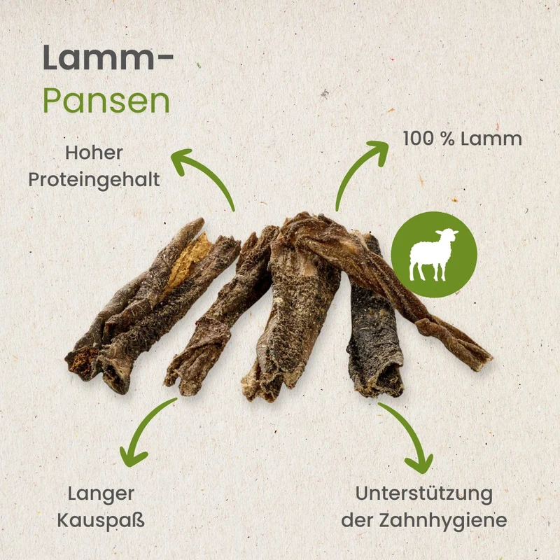 Lamm-Pansen