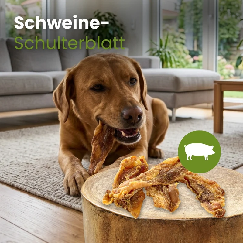 Schweine-Schulterblatt