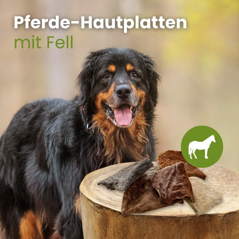Pferde-Hautplatten mit Fell