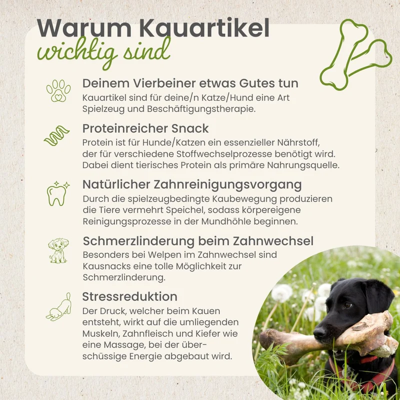 Lamm-Fleischstreifen