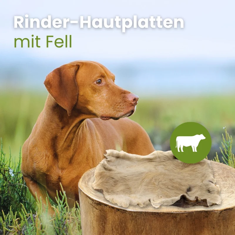 Rinder-Hautplatten mit Fell