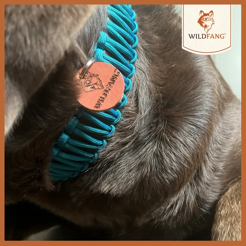 Hundehalsband "Meergeflüster"