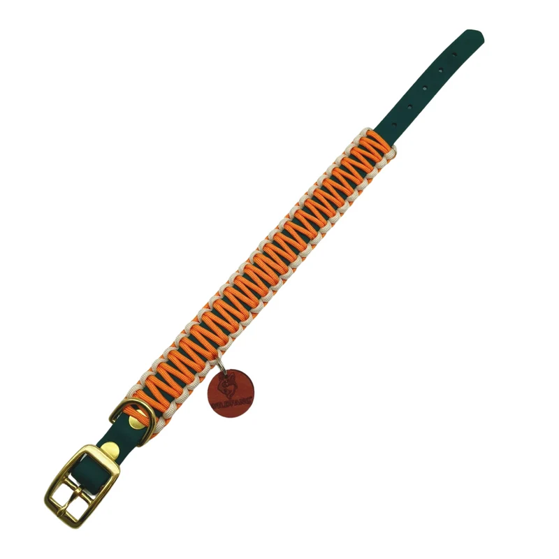 Hundehalsband "Waldgeflüster"