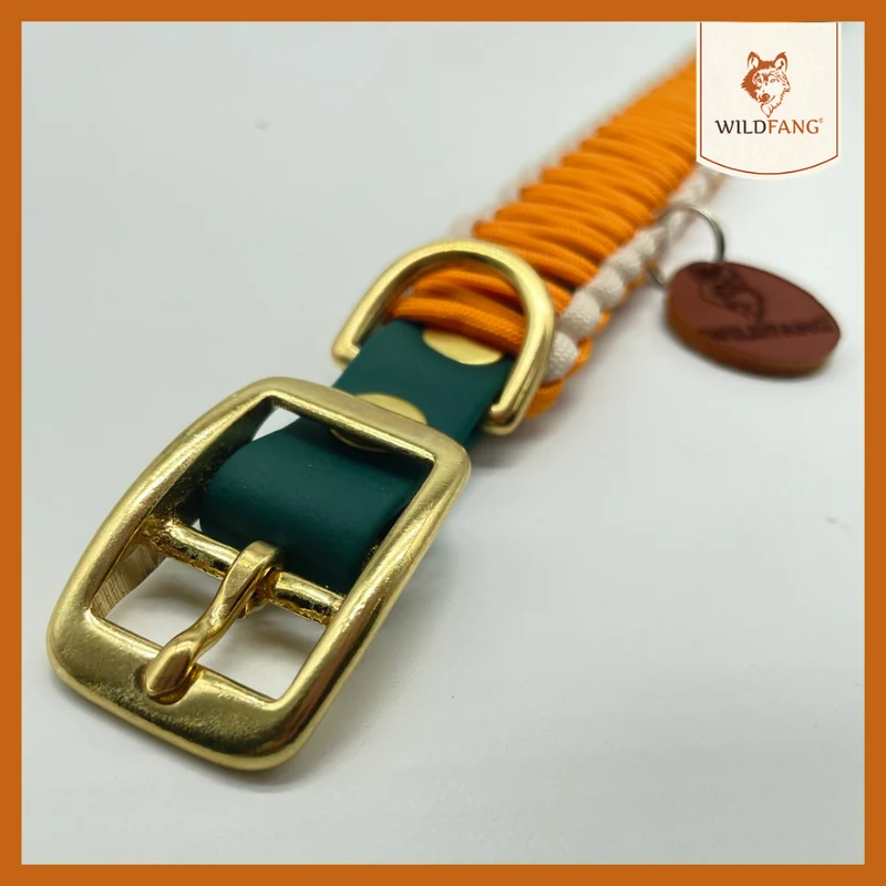 Hundehalsband "Waldgeflüster"