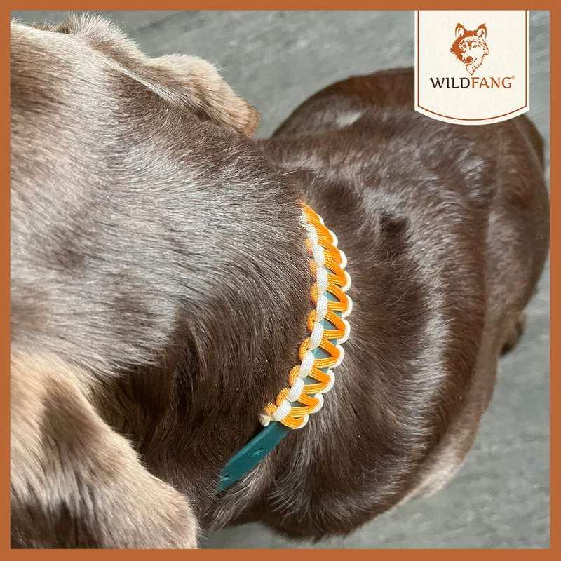 Hundehalsband "Waldgeflüster"