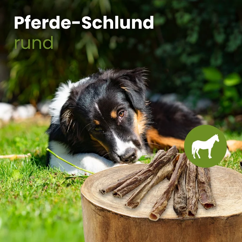 Pferde-Schlund, rund