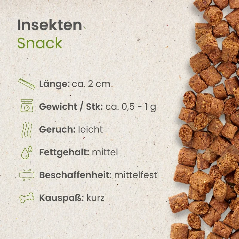 Insekten Snack