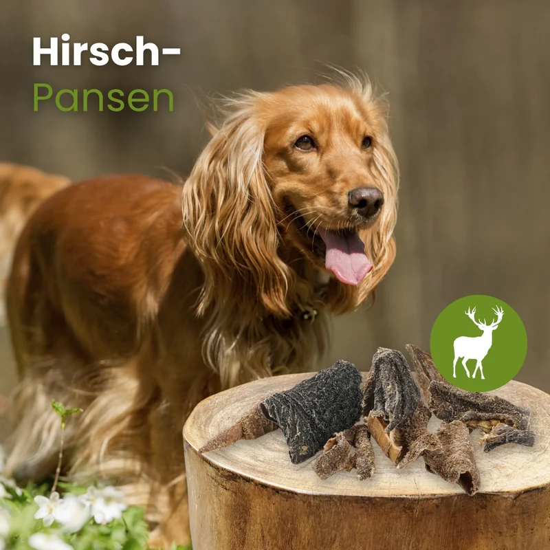 Hirsch-Pansen