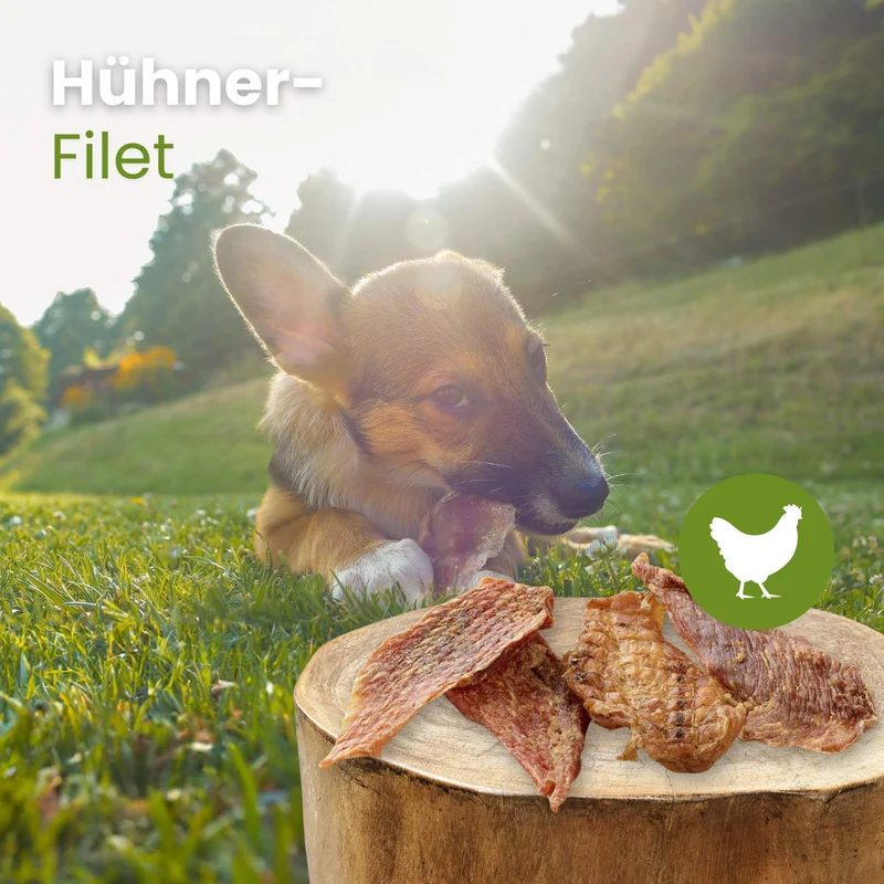 Hühner-Filet - Hühnerbrustfilet