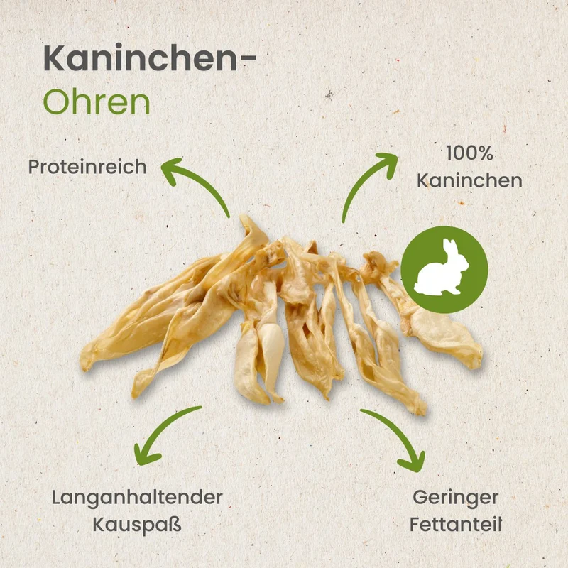Kaninchen-Ohren